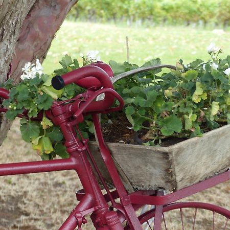 L'Alambic De L'Estuaire Bed and Breakfast Saint-Fort-sur-Gironde Εξωτερικό φωτογραφία