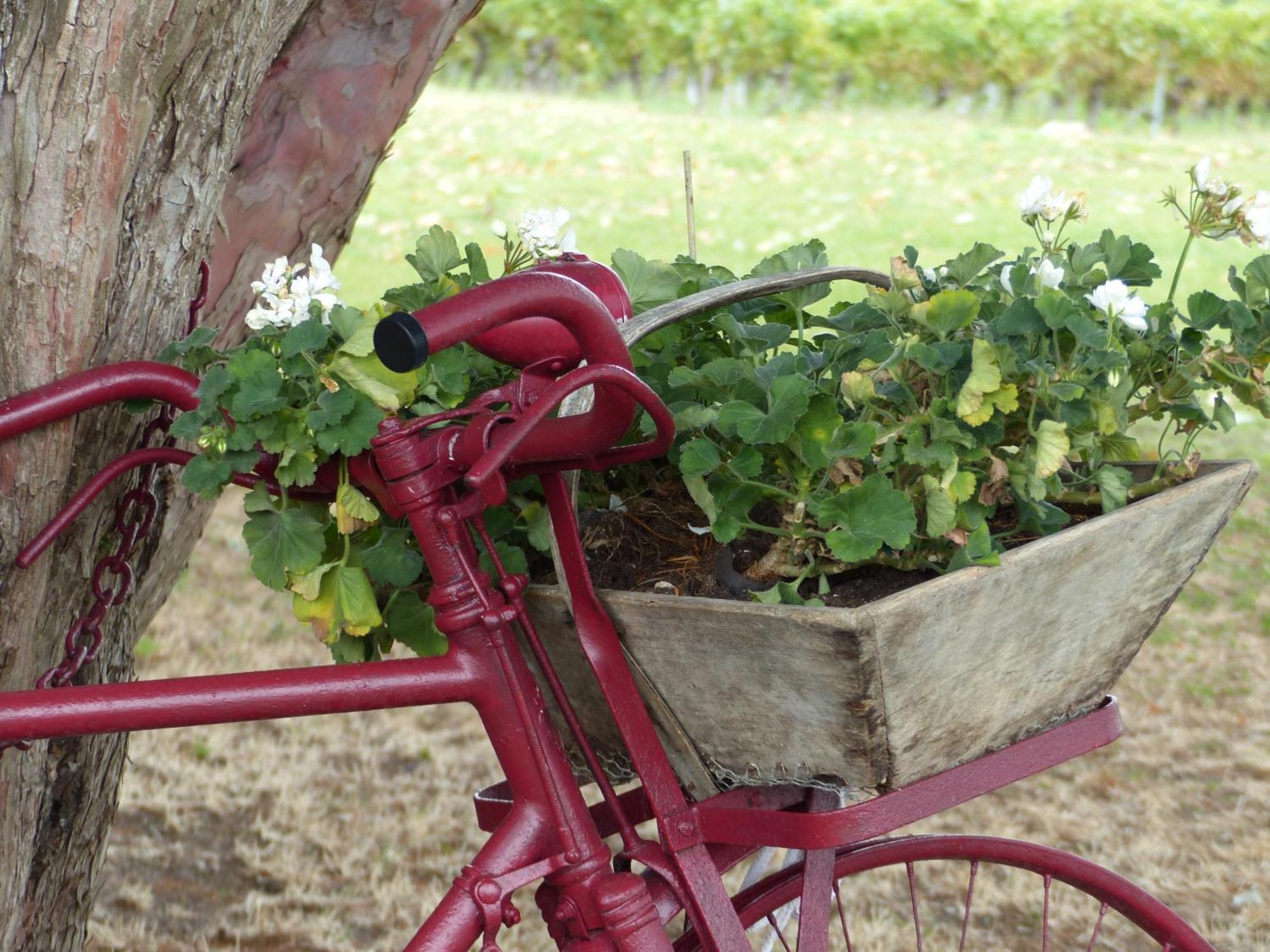 L'Alambic De L'Estuaire Bed and Breakfast Saint-Fort-sur-Gironde Εξωτερικό φωτογραφία