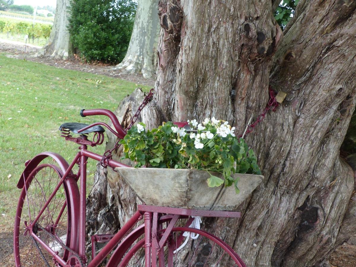L'Alambic De L'Estuaire Bed and Breakfast Saint-Fort-sur-Gironde Εξωτερικό φωτογραφία